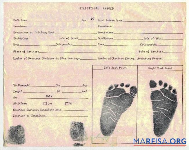 Downloadable Certificate of birth statistical record download for verification